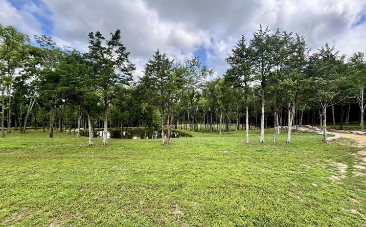 Pictures of Land property located at 8598 Taliaferro Road, 119861, TN 37060 for sales - image #1