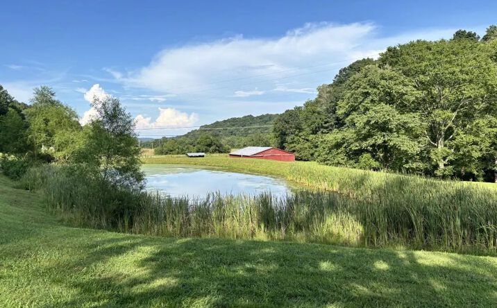 Pictures of Land property located at 3807 Bear Creek Road, 122962, TN 37179 for sales - image #1
