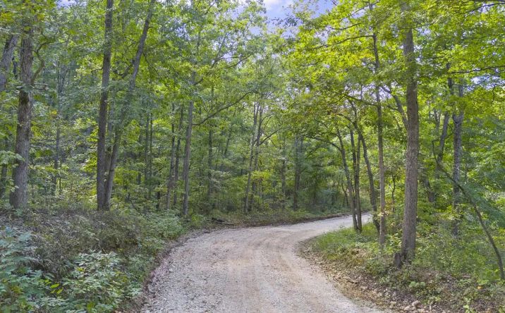 Pictures of Land property located at 80 +/- Acres Proctor, 72966, MO 65037 for sales - image #1