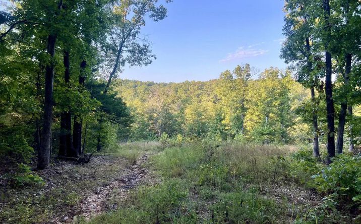 Pictures of Land property located at TBD Ponder Slab, 73314, MO 65486 for sales - image #1