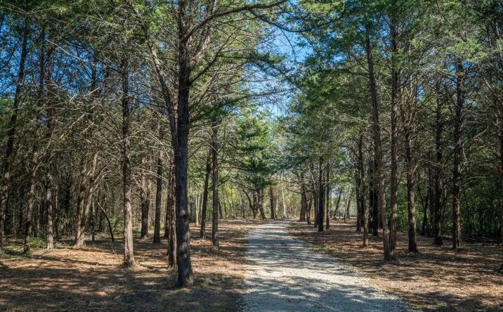 Pictures of Land property located at TBD CR 2226, 124328, TX 75135 for sales - image #1