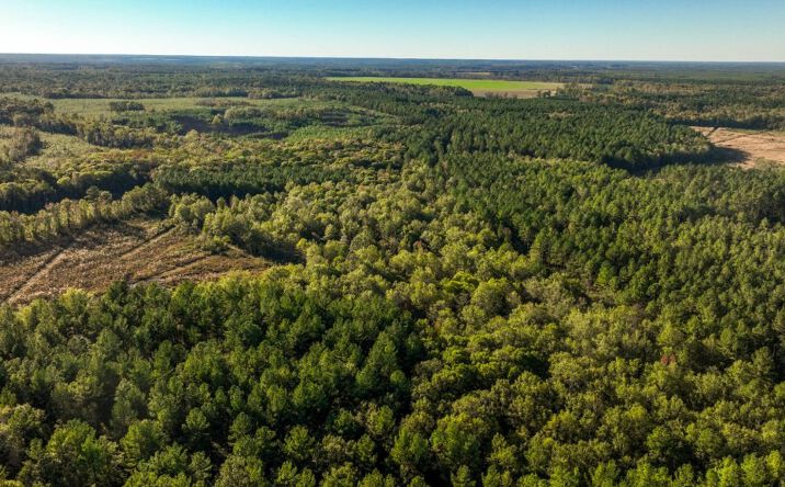 Pictures of Land property located at Off of Old Savannah Rd., Perkins, GA 30442 for sales - image #1