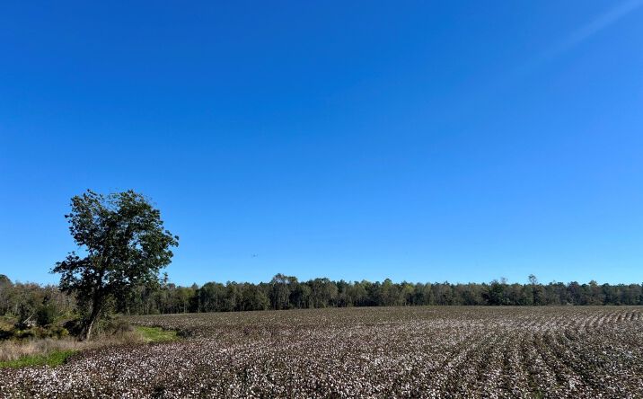 Pictures of Land property located at Bowen Hill Rd., Garfield, GA 30425 for sales - image #1