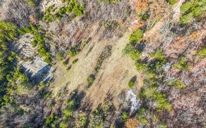 Pictures of Land property located at 8201 W Highway 92, Monticello, KY 42633 for sales - image #1