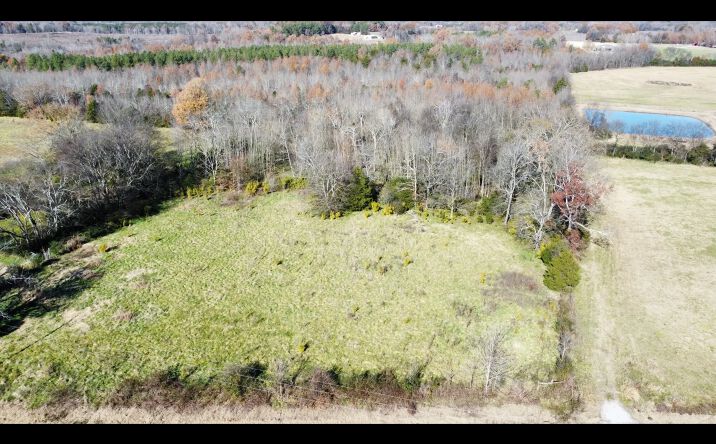 Pictures of Land property located at 000 Co Rd 131, Town Creek, AL 35672 for sales - image #1