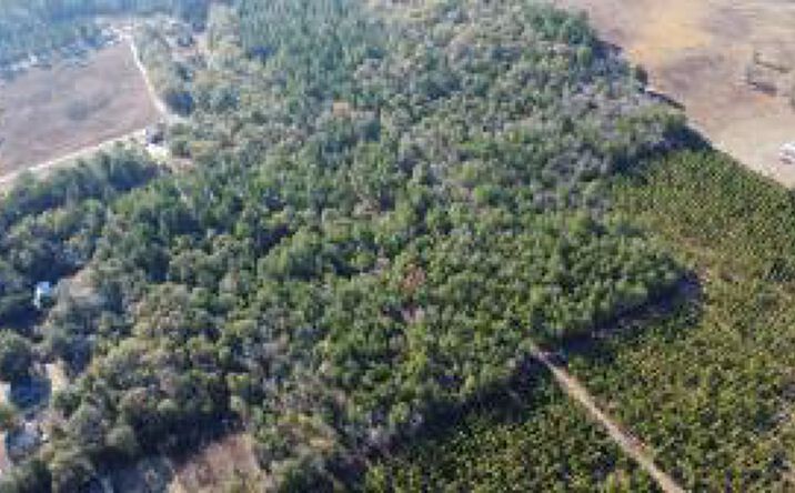 Pictures of Land, Hospitality, Industrial, Multifamily, Office, Special Purpose property located at Jeffcoat Road, Wagener, SC 29164 for sales - image #1