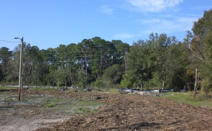 Pictures of Land property located at Antilla St, Tampa, FL 33625 for sales - image #1
