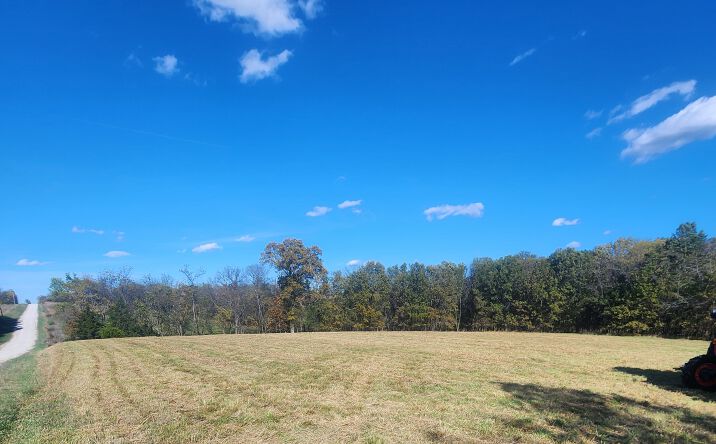 Pictures of Land property located at Co Rte 197, Montgomery City, MO 63361 for sales - image #1