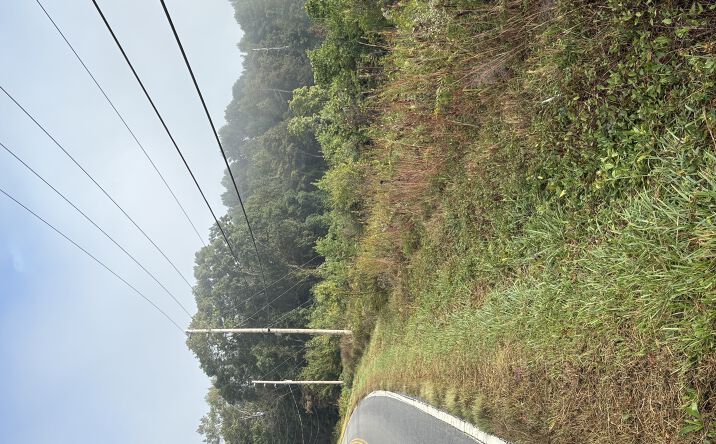 Pictures of Land property located at Hopewell Rd, Morganton, NC 28655 for sales - image #1