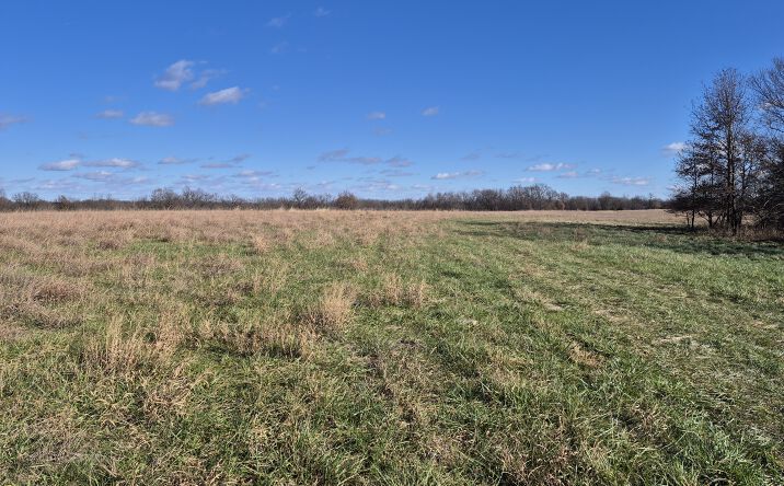 Pictures of Land property located at Co Rte 197, Montgomery City, MO 63361 for sales - image #1