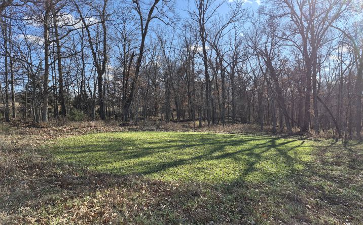 Pictures of Land property located at Co Rte 197, Montgomery City, MO 63361 for sales - image #1