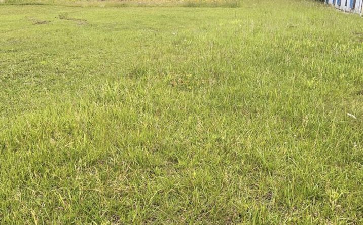 Pictures of Land property located at 2001 N Willow Ave, Cookeville, TN 38501 for sales - image #1