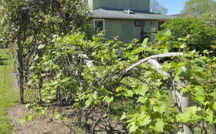 Pictures of Multifamily property located at 127 Inlet Rd, Hampton Bays, NY 11946 for sales - image #1