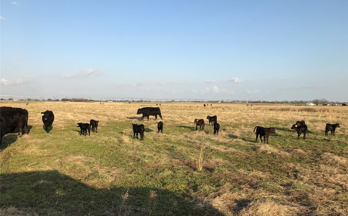 Pictures of Land property located at E 180 Road, Fairland, OK 74343 for sales - image #1