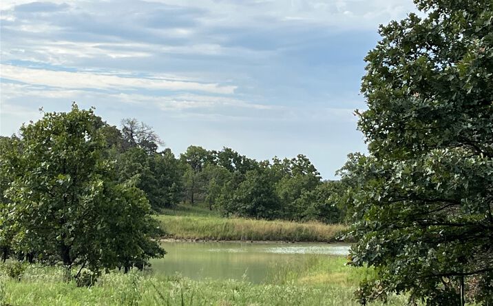 Pictures of Land property located at 2822 Lott Bottom Road, McAlester, OK 74501 for sales - image #1