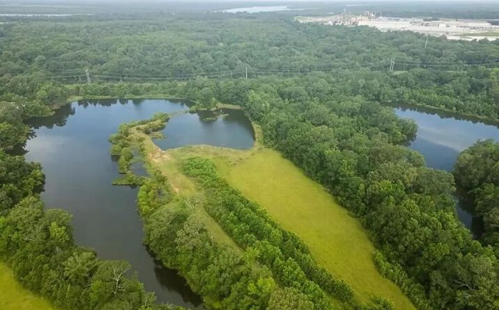 Pictures of Land property located at 299 W Mount Pleasant Zachary Road, 52595, LA 70791 for sales - image #1