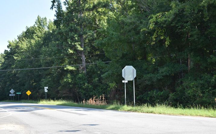 Pictures of Land property located at 0 GA Hwy 315/219, Fortson, GA 31808 for sales - image #1