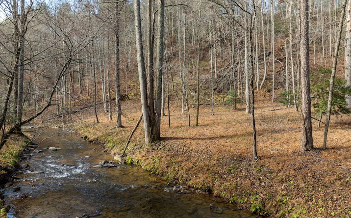 Pictures of Land property located at 780 Banks Road, Ellijay, GA 30540 for sales - image #1