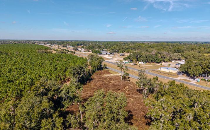 Pictures of Land property located at NE Hwy 27, Williston, FL 32696 for sales - image #1