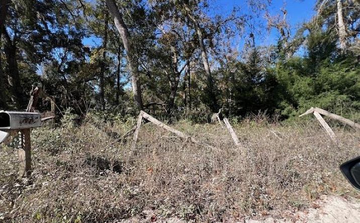 Pictures of Land property located at NE 752nd St, Old Town, FL 32680 for sales - image #1