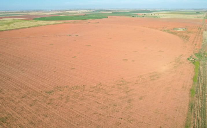 Pictures of Land property located at 650 Co Rd 630, Dimmitt, TX 79027 for sales - image #1