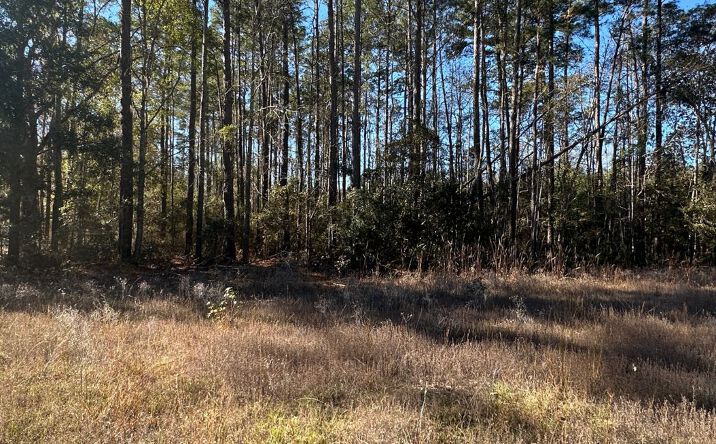 Pictures of Land property located at 0 Halcyondale Loop, Sylvania, GA 30467 for sales - image #1