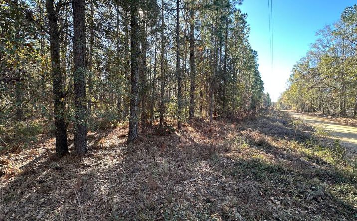 Pictures of Land property located at 0 Halcyondale Loop, Sylvania, GA 30467 for sales - image #1