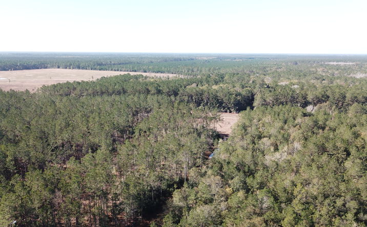 Pictures of Land property located at Hunting Lodge, Kountze, TX 77625 for sales - image #1