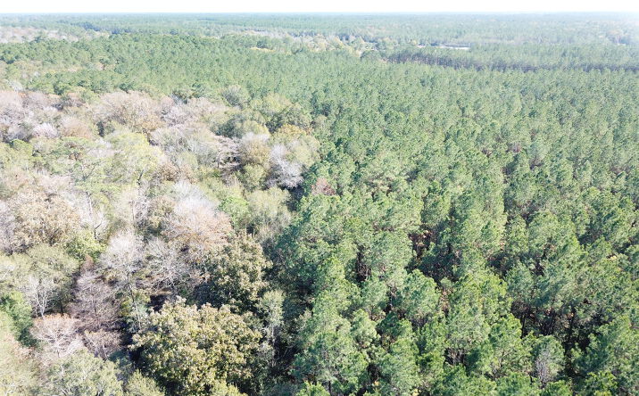 Pictures of Land property located at Farm to Market Rd 770, Kountze, TX 77625 for sales - image #1