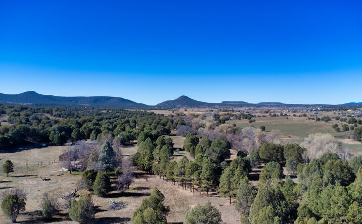 Pictures of Land property located at 360 Barracks Rd, Young, AZ 85554 for sales - image #1