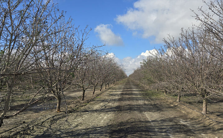 Pictures of Land property located at 1515 S Yuba Ave, Kerman, CA 93630 for sales - image #1