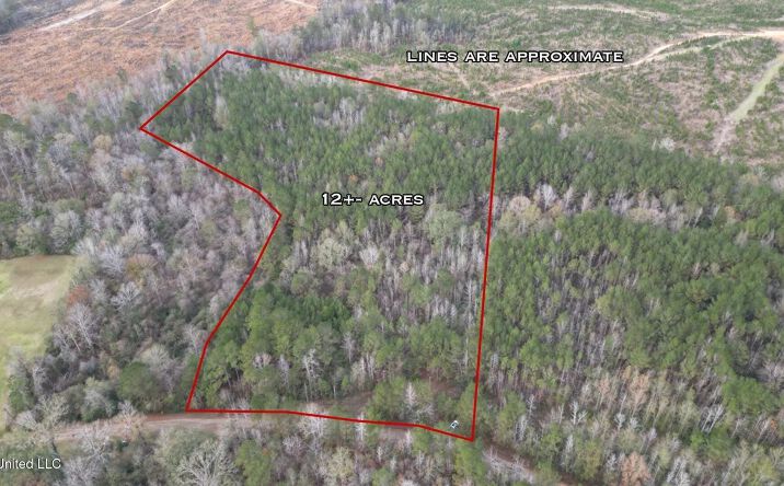 Pictures of Land property located at 57 Mose Hilliard Road, 70887, MS 39665 for sales - image #1