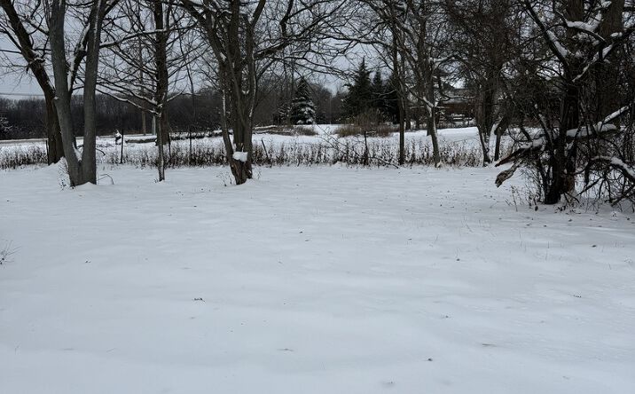 Pictures of Special Purpose property located at 19611 Crawford Avenue , Flossmoor, IL 60422 for sales - image #1