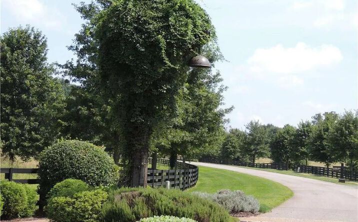 Pictures of Land property located at 201 Etowah Lndg, Ball Ground, GA 30107 for sales - image #1