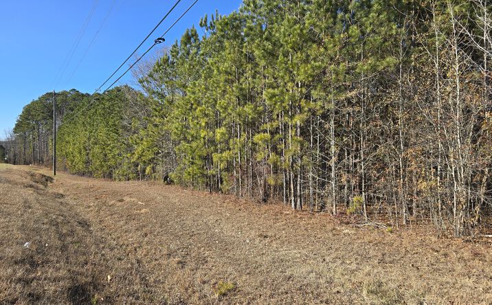 Pictures of Land property located at 58 Wilton Smith Rd, Temple, GA 30179 for sales - image #1