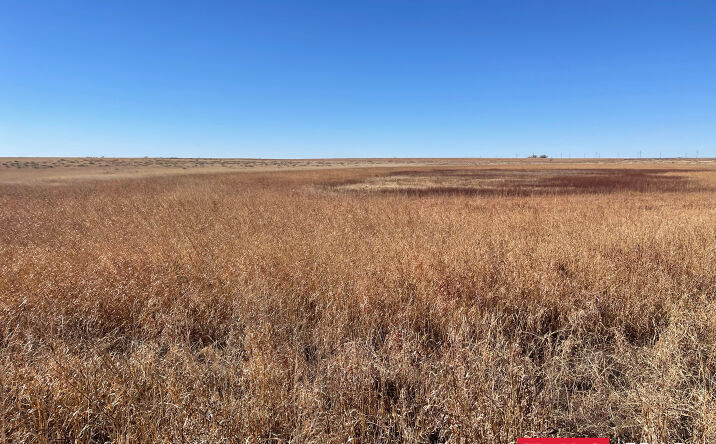 Pictures of Land property located at 6000-6098 Hawaii Road, Levelland,, Levelland, TX 79336 for sales - image #1