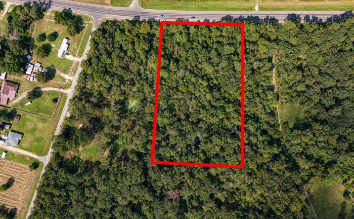 Pictures of Land property located at Lemon Fregia Rd, Batson, TX 77519 for sales - image #1