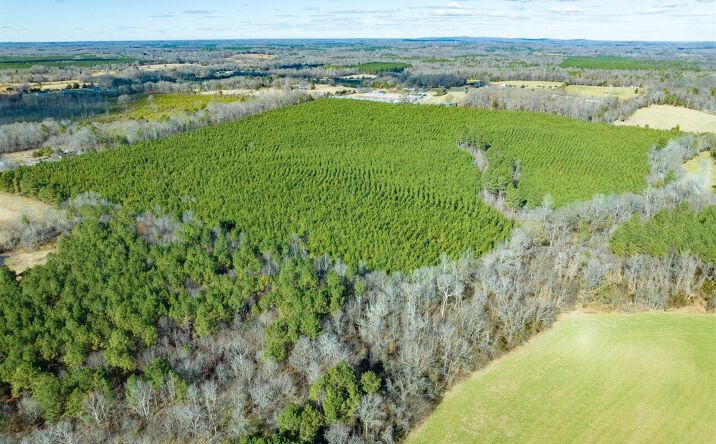 Pictures of Land property located at 0 Will Brown Rd, Siler City, NC 27344 for sales - image #1