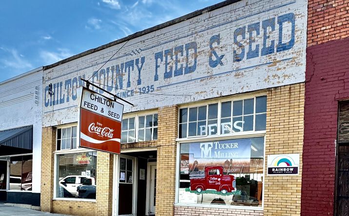 Pictures of Retail property located at 717 2nd Ave N, Clanton, AL 35045 for sales - image #1