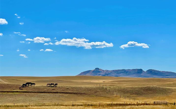 Pictures of Land property located at NHN County Road 440 E, Havre, MT 59501 for sales - image #1