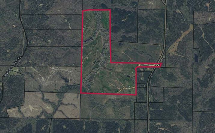 Pictures of Land property located at Talbot County-Tract 32004A, Junction City, GA 31812 for sales - image #1