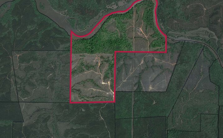 Pictures of Land property located at Talbot County-Tract 32002B, Butler, GA 31006 for sales - image #1