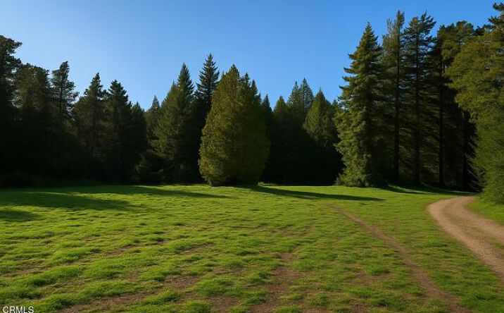 Pictures of Land property located at 43535 Comptche Ukiah, Mendocino, CA 95460 for sales - image #1