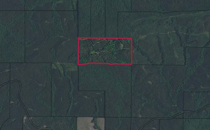 Pictures of Land property located at Talbot County-Tract 32013D, Waverly Hall, GA 31831 for sales - image #1