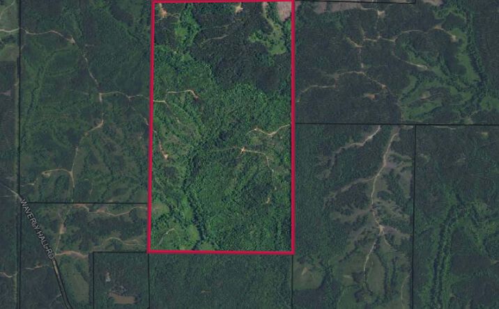 Pictures of Land property located at Talbot County, GA-Tract 32027, Talbotton, GA 31827 for sales - image #1