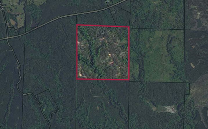 Pictures of Land property located at Talbot County, GA-Tract 32014B, Woodland, GA 31836 for sales - image #1