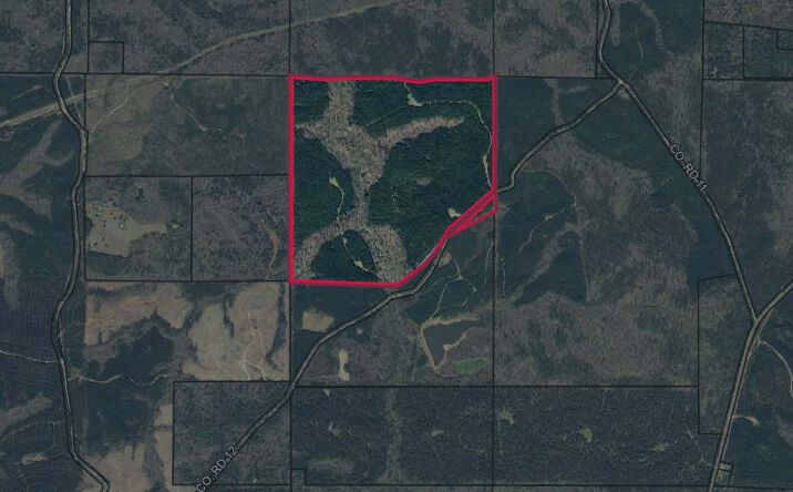 Pictures of Land property located at Talbot County- Tract 32008A, Talbotton, GA 31810 for sales - image #1