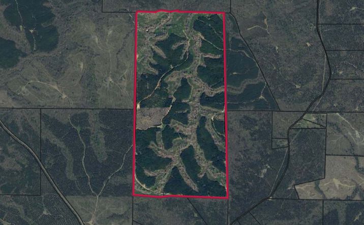 Pictures of Land property located at Talbot County-Tract 32006A, Junction City, GA 31812 for sales - image #1
