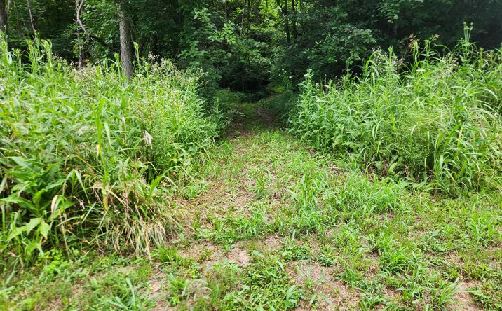 Pictures of Land property located at 0 Markland Pike, Vevay, IN 47043 for sales - image #1