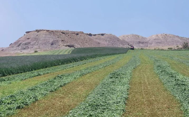 Pictures of Land property located at Pleasant Valley Rd, Pleasant Valley, UT 84052 for sales - image #1